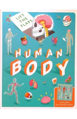 Human Body: Lift the Flaps With Giant Fact-Packed Poster